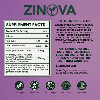 Mushroom Gummies For Focus, Calm & Daily Balance